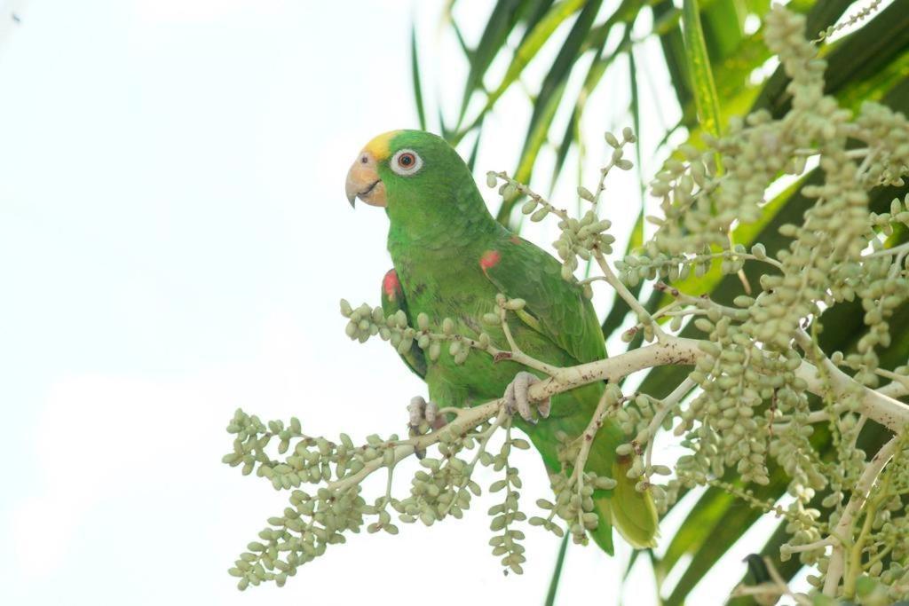 Rio Hotel Montería 外观 照片